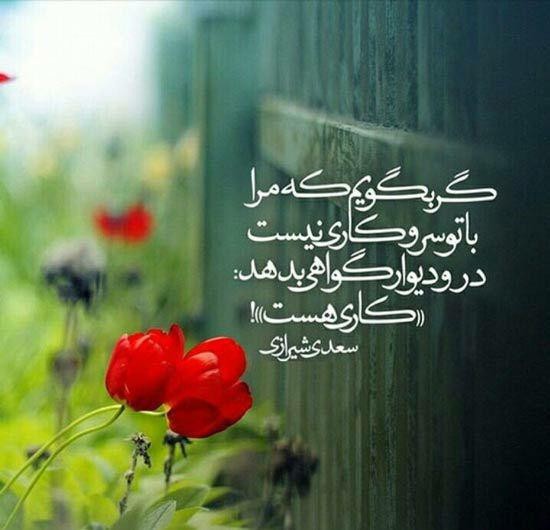 من چه در پای تو ریزم که پسند تو بود شجریان